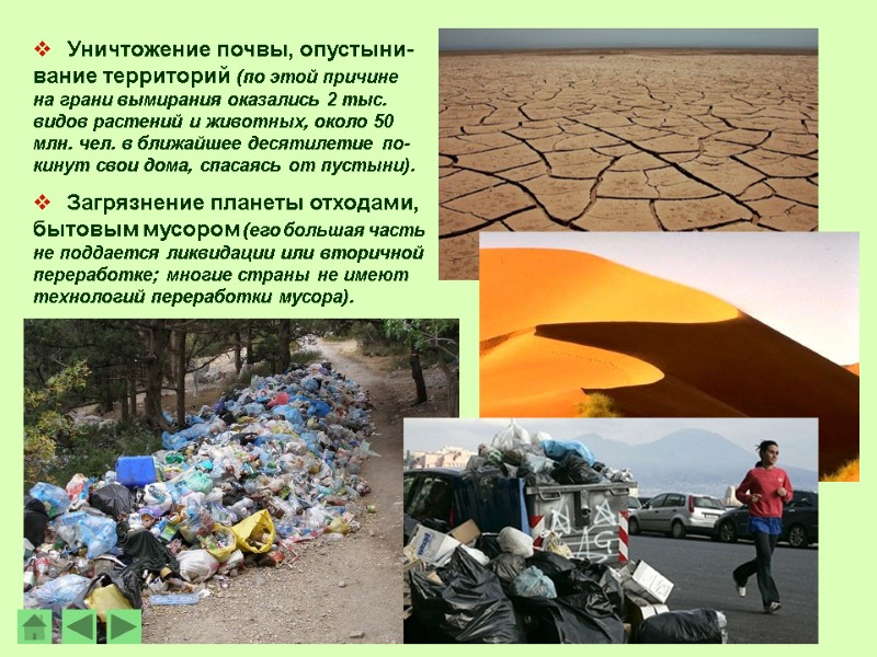 Уничтожение почвы, опустыни-вание территорий (по этой причине на грани вымирания оказались 2 тыс. видов